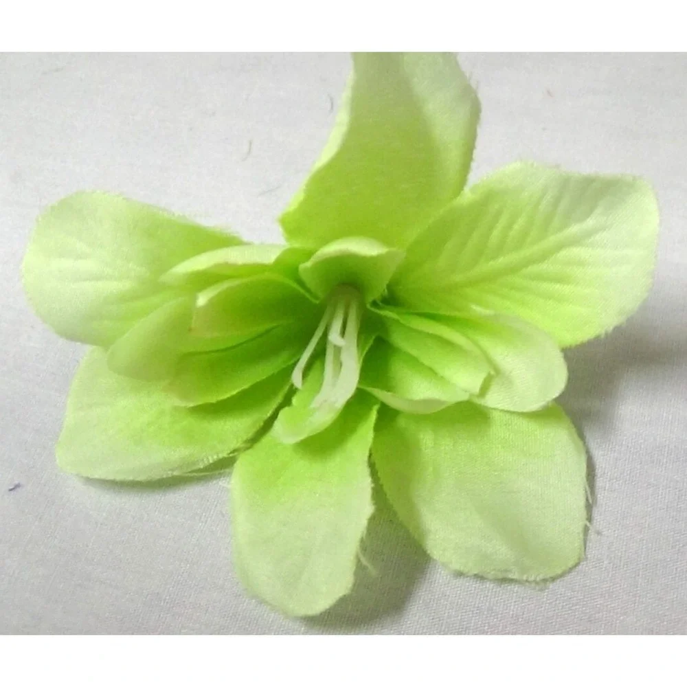 Orchid Flowers Heads 3.5